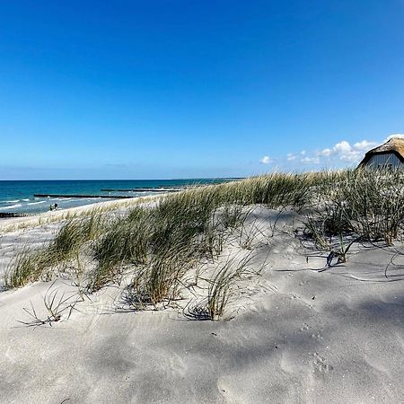 Haus Am Bodden 03 Leilighet Ahrenshoop Eksteriør bilde