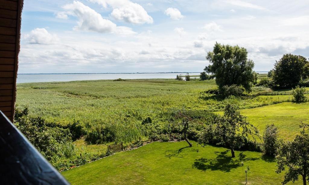 Haus Am Bodden 03 Leilighet Ahrenshoop Eksteriør bilde