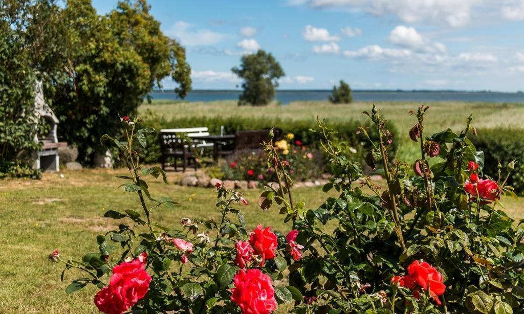 Haus Am Bodden 03 Leilighet Ahrenshoop Eksteriør bilde
