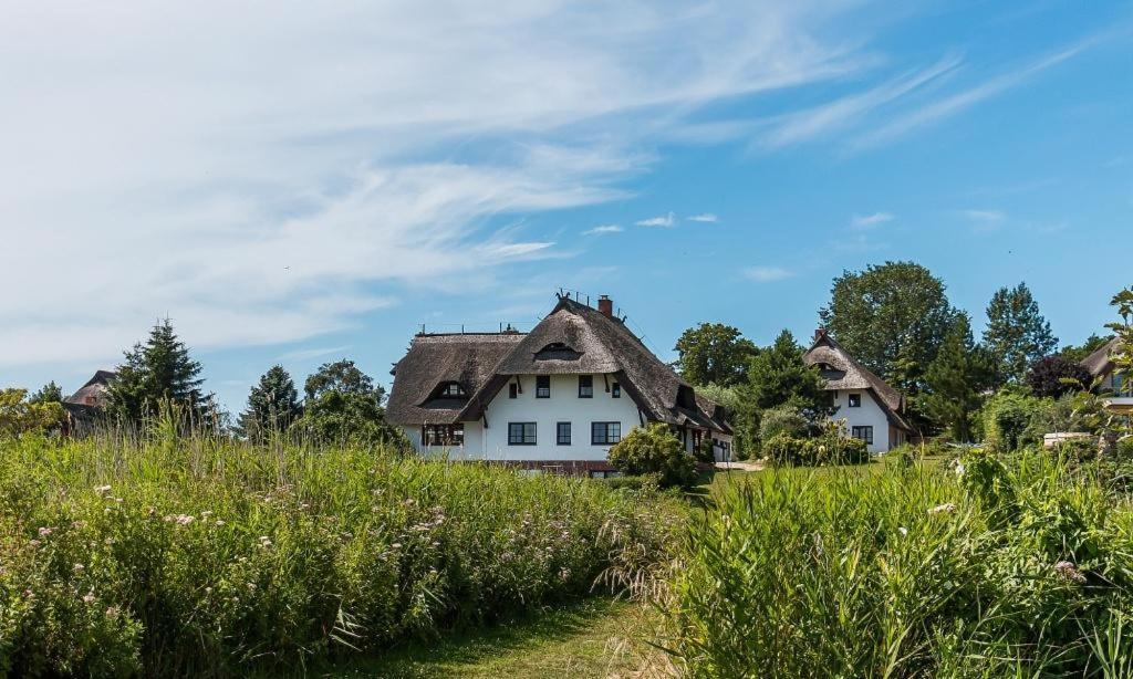 Haus Am Bodden 03 Leilighet Ahrenshoop Eksteriør bilde
