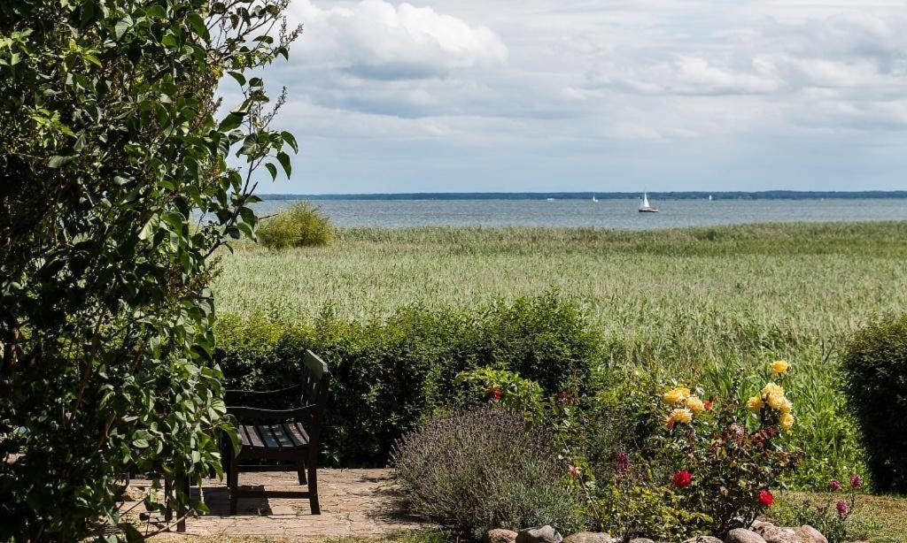 Haus Am Bodden 03 Leilighet Ahrenshoop Eksteriør bilde